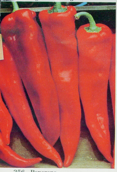 Corno di Toro Red Pepper Seeds